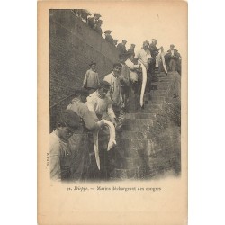 76 DIEPPE. Marins déchargeant des Congres 1903. Métiers de la Mer. Pêcheurs et Poissons