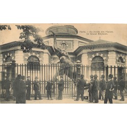 75 PARIS 05. Au Jardin des Plantes le Grand Eléphant 1905