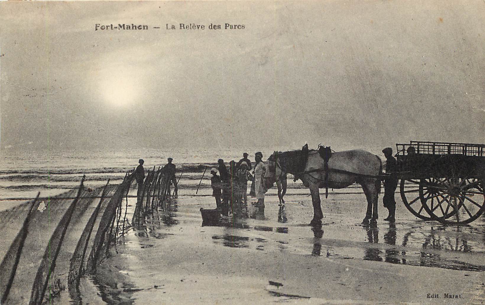 80 FORT-MAHON. La Relève des Parcs à Poissons avec attelage