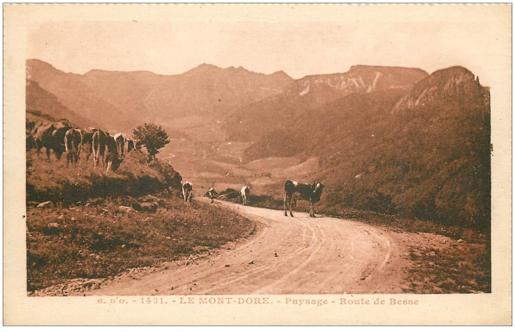 carte postale ancienne 63 LE MONT-DORE. Troupeau de Vaches Route de Besse 1930