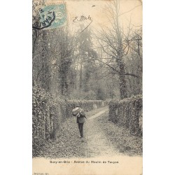 94 SUCY-EN-BRIE. Promeneur lisant son journal Avenue du Moulin de Touyon