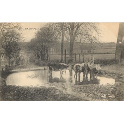 50 SAINT-PAIR-SUR-MER. Vaches à l'Abreuvoir 1908