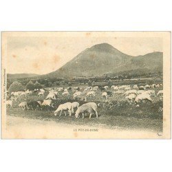 carte postale ancienne 63 LE PUY DE DOME. Moutons aux Pâturages vers 1900