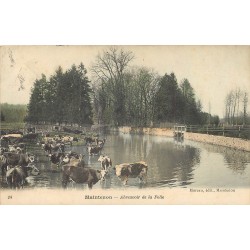 2 x Cpa 28 MAINTENON. Abreuvoir de la Folie et l'Eure à Pierres 1905