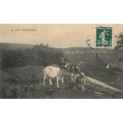 METIERS. Le Petit Chevrier vers 1909