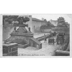 carte postale ancienne 63 MONTFERRAND. La Fontaine du Lion et Laveuses