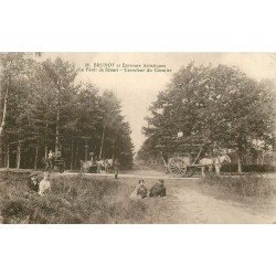 91 BRUNOY. Forêt Sénart chercheur de bois au Carrefour du Cormier transport de citernes au Pont de Soulins