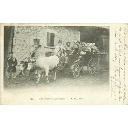 63 PUY DE DÔME. Une Noce en Auvergne avec attelage de Boeufs et accordéoniste 1904