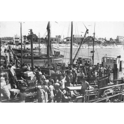 85 FROMENTINE. Bateaux de Pêcheurs à l'Embarcadère 1964