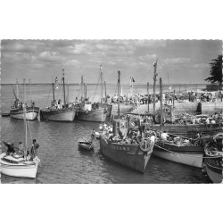 29 LOCTUDY. Bateaux de Pêche dans le Port 1955