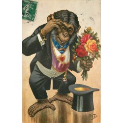 Illustrateur Thiele " SINGE ROYAL HABILLE " chapeau haut de forme, bijoux et fleurs 1907