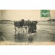 62 BERCK-PLAGE. La Plage avec ramasseuses de goëmon 1915