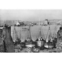 29 CAMARET SUR MER. Les Bateaux de pêche dans le Port 1961