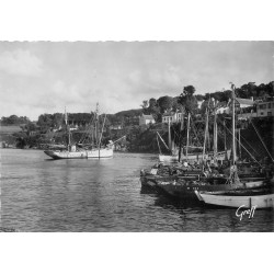 29 DOUARNENEZ. Les Plomarc'h avec bateaux de Pêche