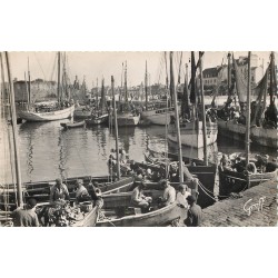 29 CONCARNEAU. Retour des Pêcheurs au Port 1952