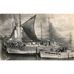 29 DOUARNENEZ. Bateau de Pêche " Malamok " dans le Port 1957