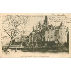 25 Carte précurseur 1903. VALLEE DE LA LOUE. Château de Cléron