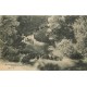 3 cartes 77 COULOMMIERS. Pont au Parc du Château, Ruines et Cascade du Poncet 1914