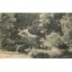 3 cartes 77 COULOMMIERS. Pont au Parc du Château, Ruines et Cascade du Poncet 1914
