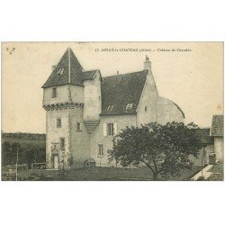 carte postale ancienne 03 AINAY-LE-CHATEAU. Château de Chandon 1920