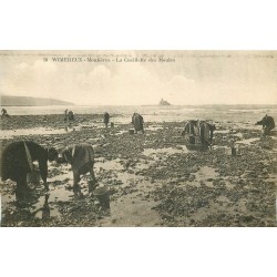 62 WIMEREUX. La Cueillette des Moules par des Moulières