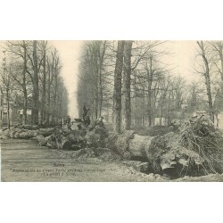 89 SENS. Promenades du Cours Tarbé pendant l'arrachage d'arbres