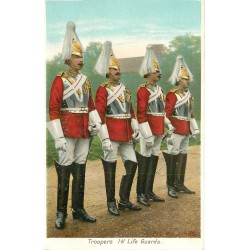 Militaria London. Troopers 1st Life Guards