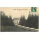 carte postale ancienne 63 VIVEROLS. Monument Granet à la Combe vers 1908