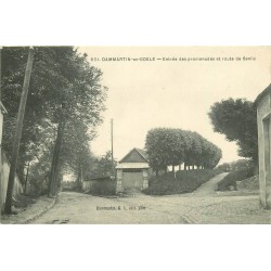 77 DAMMARTIN-EN-GOELE. Entrée des promenades et route de Senlis