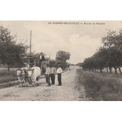 60 PLESSIS-BELLEVILLE. Paysans et attelage de boeufs avenue de Pauclain