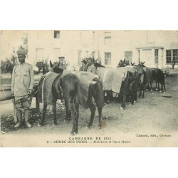 Campagne et Guerre de 1914. ARMEE DES INDES Muletiers et leurs Mules 1916