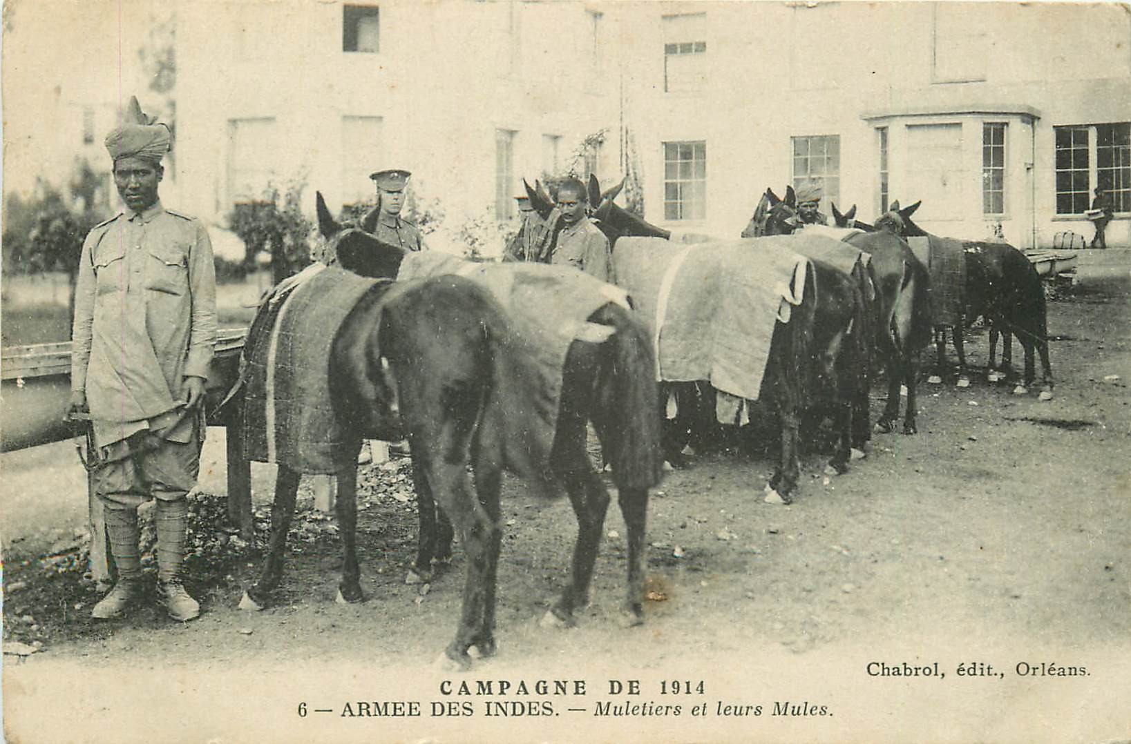 Campagne et Guerre de 1914. ARMEE DES INDES Muletiers et leurs Mules 1916