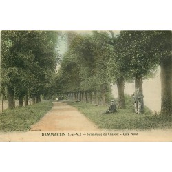 77 DAMMARTIN-EN-GOËLE. Promenades du Château 1914
