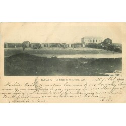 3 x cpa 29 ROSCOFF. Plage de Rock-Kroum Rockroum 1900 et Institut Marin Pointe du Cap