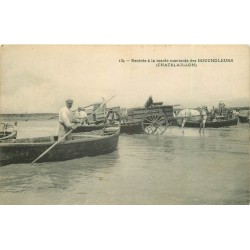 17 CHÂTELAILLON. Rentrée à la marée montante des Boucholeurs avec attelages et barques