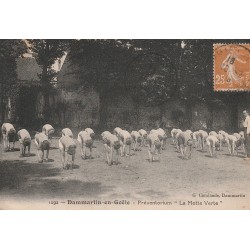 77 DAMMARTIN-EN-GOËLE. Préventorium Gymnastique à la Motte Verte 1949