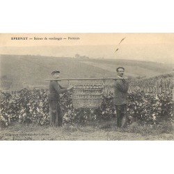 51 EPERNAY. Scènes de vendanges " Porteurs "