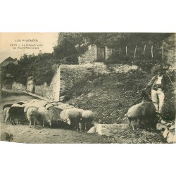 65 LES PYRENEES. Le Départ du Pâtre et de ses Moutons vers les Hauts Sommets 1909