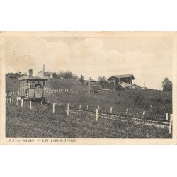 74 SALEVE. Les Treize Arbres avec son Train Tramway Funiculaire 1909