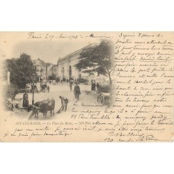 73 AIX-LES-BAINS. La Place des Bains 1902