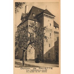 03 VARENNES-SUR-ALLIER. Donjon de Gayette