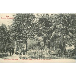 64 ORTHEZ. Une Allée au Jardin public 1919
