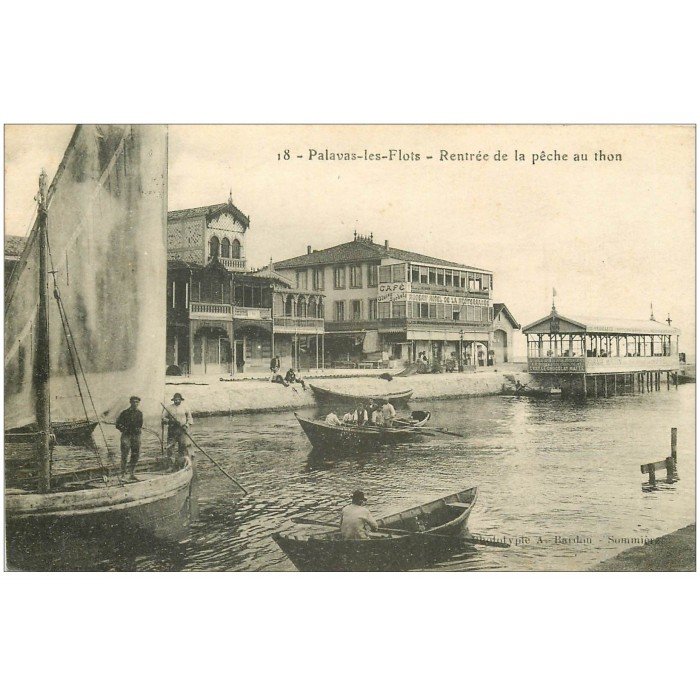 CPA Palavas-les-Flots vue générale aérienne (1279387