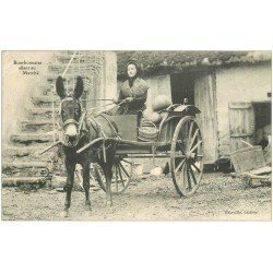 carte postale ancienne 03 BOURBONNAIS. Attelage pour aller au Marché 1902. Mule ou Ane