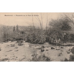 51 MONTMIRAIL. Animation sur Piccaraïo ou Pont du Diable