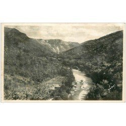 carte postale ancienne 34 RIEUTORD Vallée Route de Saint-Martial carte photo