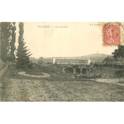 69 FLEURIE. Les Grottes 1904