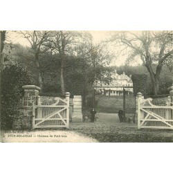 78 JOUY-EN-JOSAS. Château du Petit Bois animé 1917