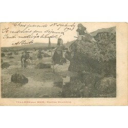 14 VILLERS-SUR-MER. Chercheuses de Moules aux Roches Moulières 1903
