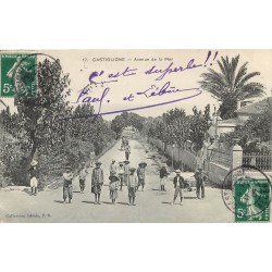 CASTIGLIONE. Avenue de la Mer bien animée 1908